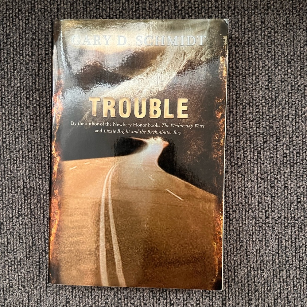 Trouble by Gary D Schmidt